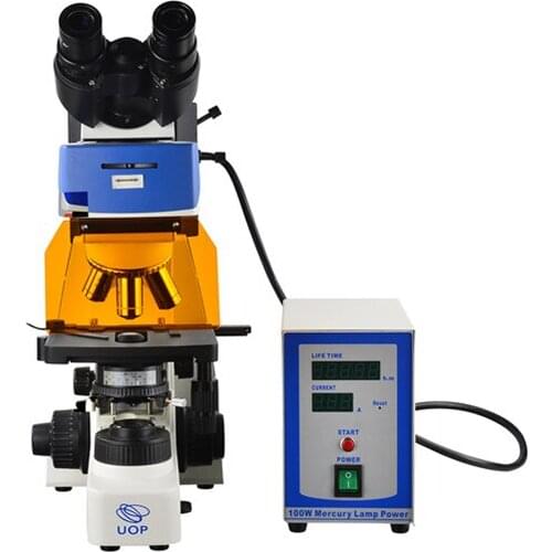 UY202i Binocular Fluorescence Microscope