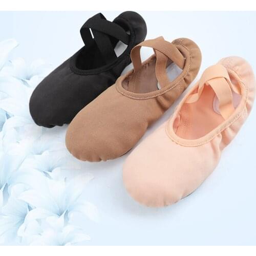 Women Girls Ballet Shoes Ballet Flats Stretch Canvas Split Soft Sole Elastic Fabric Professional Ballet Shoes Dance Slippers