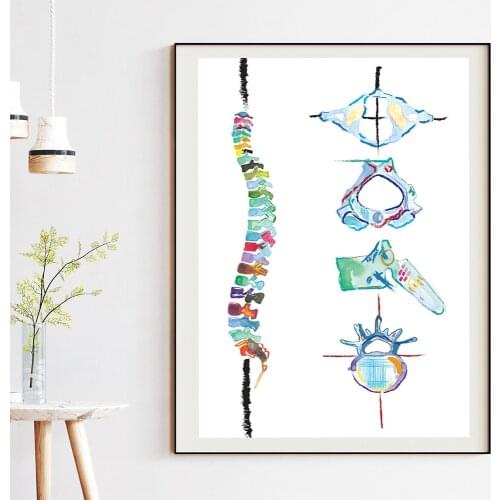 Spine Anatomy Drawing Poster Vertebra Chiropractic Wall Art Office Decoration Chiropractor Physical Therapy Gift Canvas Painting