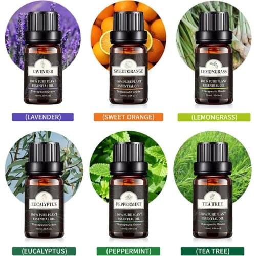 Essential Oil For Air Humidifier Aromatherapy Diffuser Car Air Freshener Perfume Aroma Diffuser Air Purifier Room Fragrance 10ML