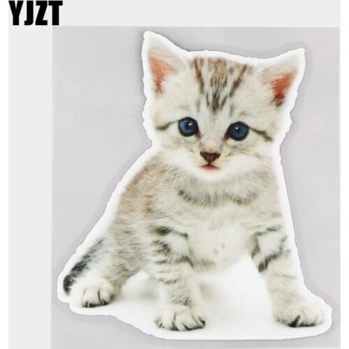 YJZT 12.5×14CM Cute Kitten Animal Window Stickers Lovely Cartoon Car Decoration Accessories 21A-0033