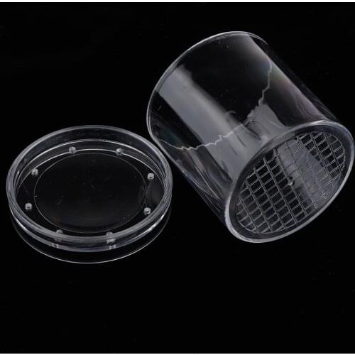 Bug Catcher Insect Viewer Box with Magnifier Lid Kids Science Nature Biology Exploration Toy