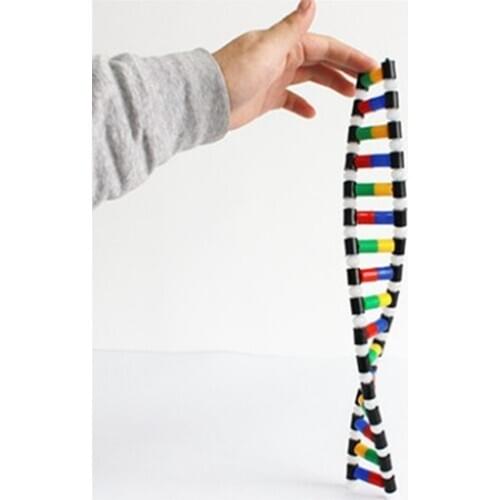 DNA Double Helix Structure Model Education Equipment