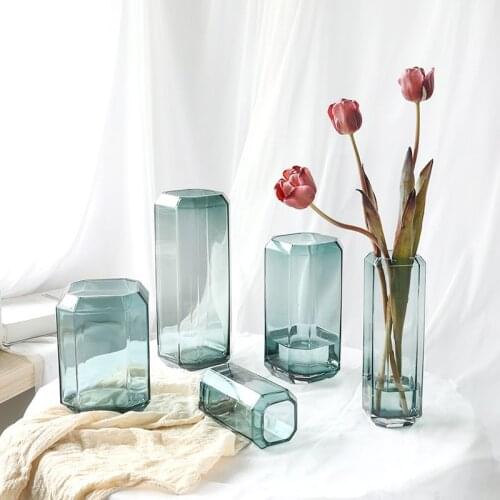 Nordic style simple geometry small daisy transparent glass vase flower arrangement hydroponic green plant decorative ornaments