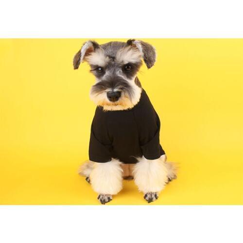 Dog Tshirt for Small Dogs Tshirt for Chihuahua French Bulldog Summer Tee Chihuahua Apparel PC1058