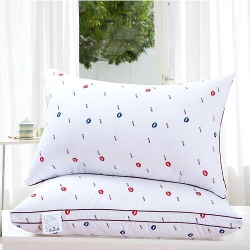 48x74cm white Feather silk pillow core Sleeping Pillow soft To Correct Bedding comfortable down Pillow case ZT-BW01