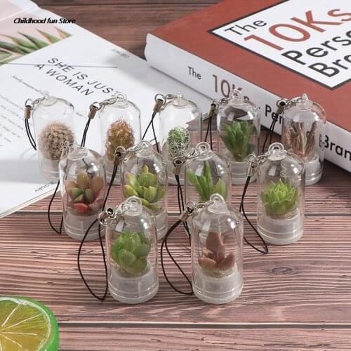 Cactus Miniatuur Sappige Cactus Terrarium Wearable Ketting Live Diy Vetplant Hanger 2.5*5Cm Willekeurige Stijl