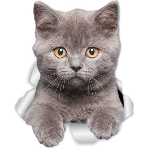 A0534#13cm/17cm Removable Decal Gery Kitten Cat Car Sticker Waterproof Accessories on Bumper Rear Window