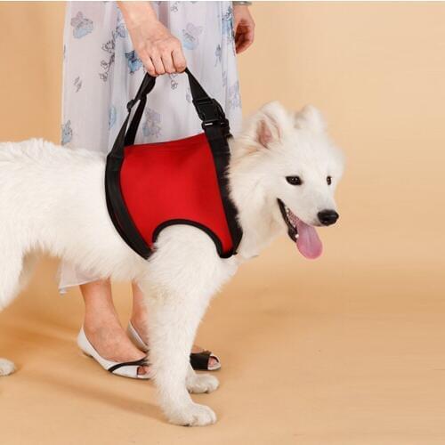 Pet Dog Harness Walk Out Hand Strap Vest Dog Lift Support Lifting Band Pets Assist Travel Kit Dogs Collar Leash Dog Harness