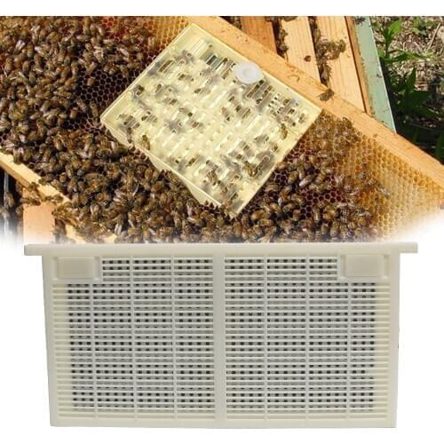 Queen Bee Rearing System for Producing for Apis mellifera Migratory bee larvae Beekeeping Tools For Beekeeper Supplies