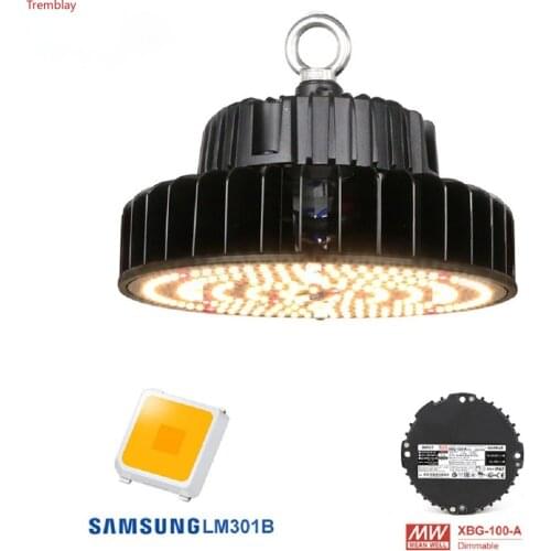 Tremblay.mack LED Plant Lamps