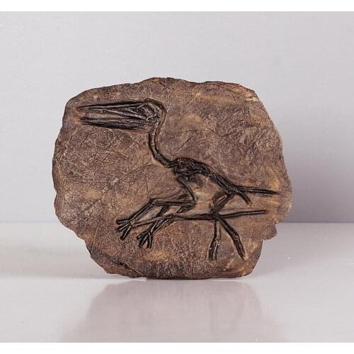 Dinosaur Fossil Skeleton Model Resin Jurassic Paleontology Skeleton Statue Model Decor Craft Wall Hanging Halloween Ornaments