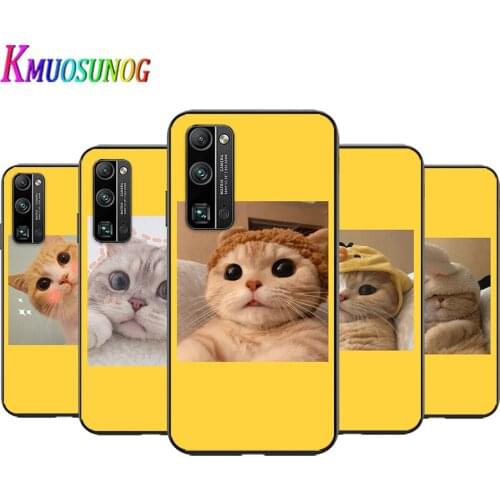 Hot Cute Cat for Honor X10 V9 10X 10i 10 9C 9A 9S 9X 9i 9N 9X 9 Lite Pro RU Black Phone Case