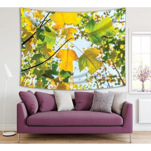 Tapestry Colorful Autumn Leaves Tree Branch Forest in Sunny Day Outdoor Nature Photo Yellow Green Blue