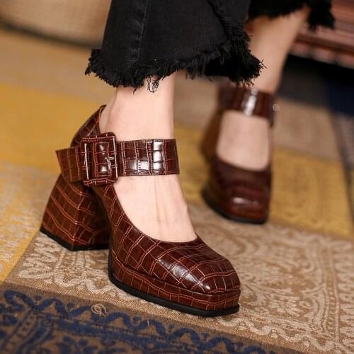 Stone pattern Leather Mary Jane Shoes for Women 2021 Autumn spring Chunky high Ankle Strap Pumps Woman Thick Bottom high Shoes