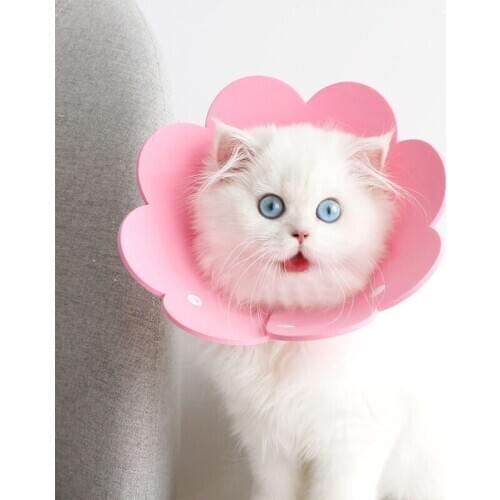 Protection Anti Licking 3PCS Pet Sunflower Recovery Collar Soft Sponge Paper Y5GB