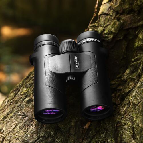 Nitrogen Binoculars ED glass Bak4 prism 12/10x/8x magnifications Professional military Telescope Powerful waterproof binocular