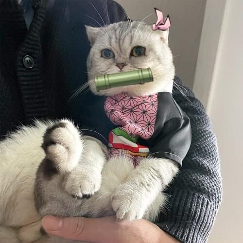 Pet Cosplay Anime Demon Slayer: Kimetsu no Yaiba Costume Cat Suit Tshirt Dog Cosplay Outfits Custom Made