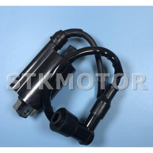 Chinese 250CC 260CC 300CC Off Road ATV Quad Ignition Coil Assy