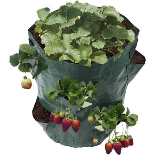 Strawberry Plant Bag Creative Plastic Strawberry Planter Planting Grow Bag