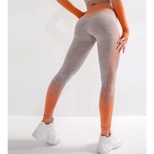 DEWEINI Women Gym Yoga Seamless Pants Sports Pants High Waist Yoga Fitness Leggings Running High Elastic Sexy Pants