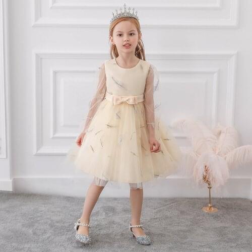 Kids Dress for Girls Embroidery Flower Ball Gown Long Sleeve Baby Girl Princess Dresses for Party Costumes Children Clothing