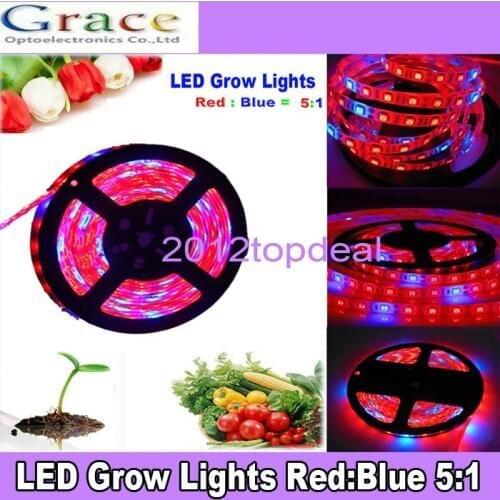 DC12V Growing LED Strip 5050 IP20 IP65 Growlight Red Blue 5:1 for greenhouse Hydroponic plant,5m/lot