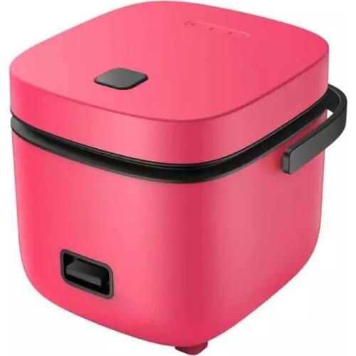 Mini Electric Rice Cooker Home Kitchen Appliances 2-layer Heating Food Steamer Multifunction Meal Cooking Pot