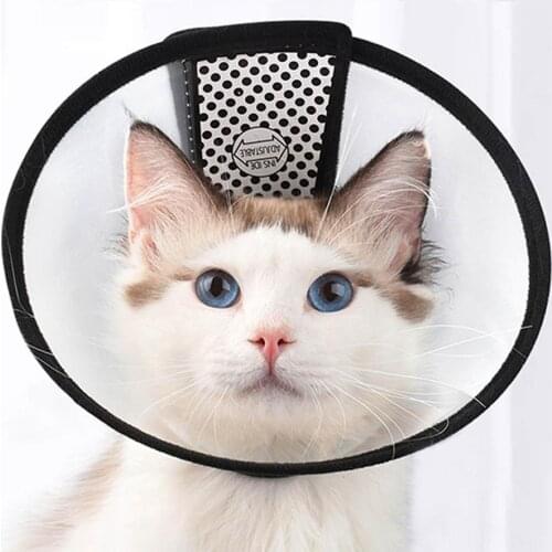 Pet Cat Dog Grooming Cover Elizabeth Anti-Bite Ring Translucent Pet Collar Cat and Dog Shield Cover
