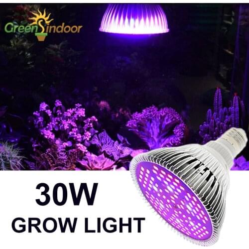 E27 Led Grow Light Bulb 30W 80W Phytolamp For Plants Light For Indoor Gardening 40 Leds Grow Lamp Full Spectrum Uv Ir Grow Tent