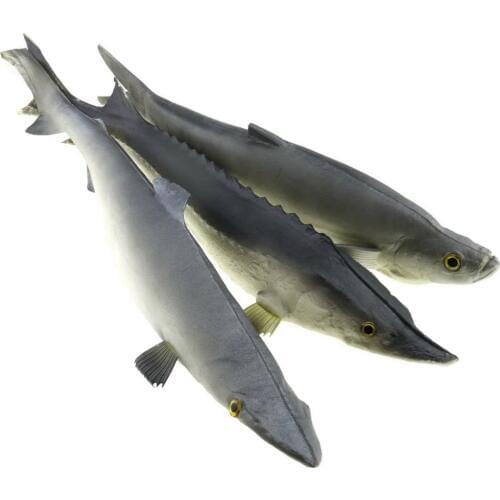Gresorth 3 PCS Sea Creatures Fake Shark Chinese Sturgeon Fish Toy Model Photography Prop