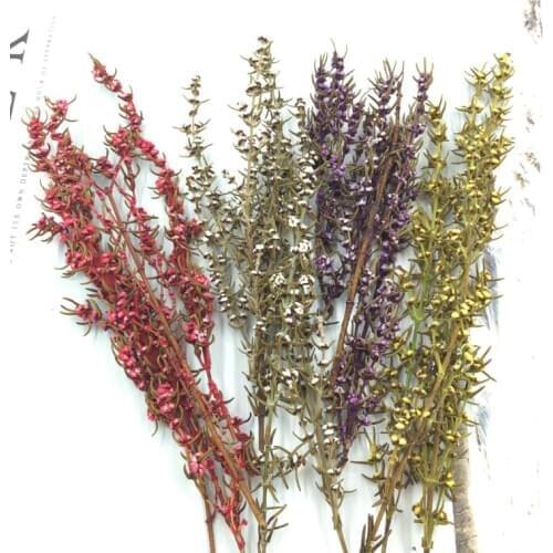 Imported Yongsheng Flower Material Fei Lijia Small Kapok DIY Bridal Head Hand Wrist Decoration Corsage Dried Bouquet Car Hanging