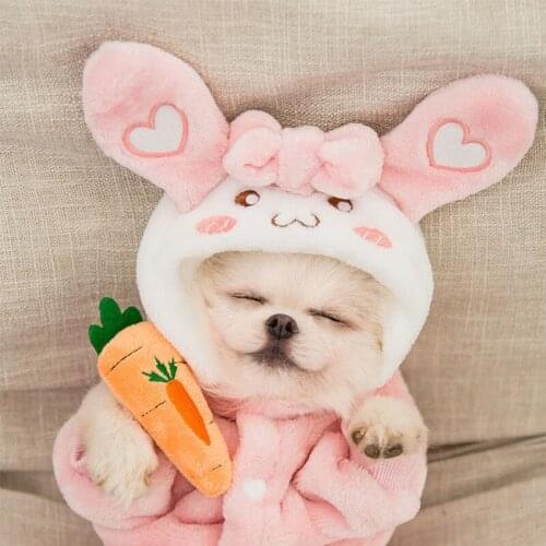 Pet Clothes Dog Clothes Warm Hoodies Sweater Cartoon Transformation Dress Winter Plus Cashmere Christmas Costume