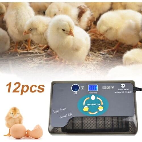 12 Eggs Incubator Smart Digital Egg Hatcher Household Intelligent Egg Incubators for Poultry Quail Chicken Duck Goose Incubator