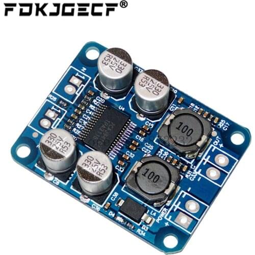 DC 12V-24V TPA3118 60W Mono Digital Audio Power Amplifier Board Amp Module