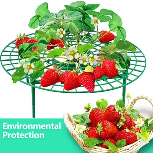 5 pcs Balcony Vegetable Rack Fruit Stand Strawberry Stand Plant Support Strawberry Growing Support Strawberry Protection Shelf
