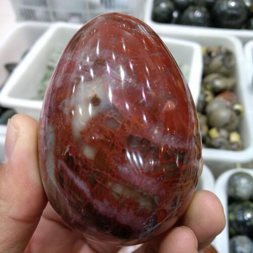 300g NATURAL PETRIFIED WOOD STONE HAND CARVED EGG