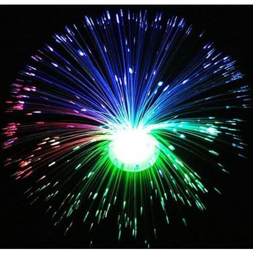 Colorful LED Optic Fiber Flower Light Star Sky Shaped Home Lamp Day Valentine Night Festival Party Decoration Atmosphere Lamp