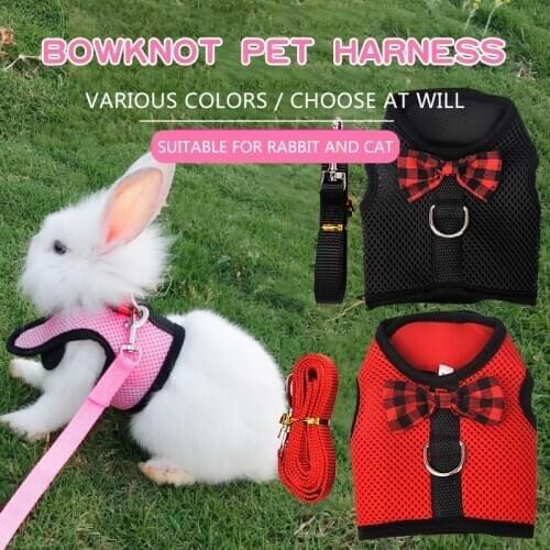 Pet Cat Cute Bow Harness and Leash Set soft Mesh Breathable Vest For puppy Chest strap Collar Outdoor Walking Training Supplies