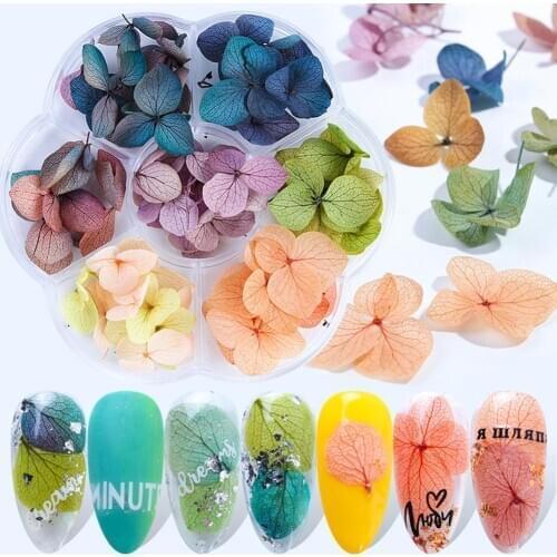 Hot 1 Box Christmas Multi Color Nail Art Dried Flower Festival Manicure Decoration