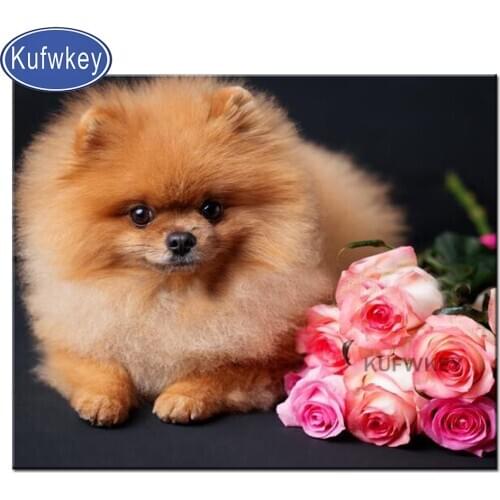 5D DIY Diamond embroidery Pomeranian,3d,diamond painting Cross Stitch full drill Rhinestone mosaic pet dog,wall decor Christmas