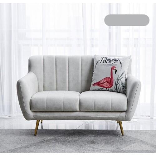 Fabric Living Room Sofas Nordic Simple Modern Double Sofa Home Furniture Single Sofa Bed