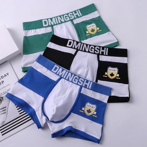 WIZITAN Men's Cotton Briefs