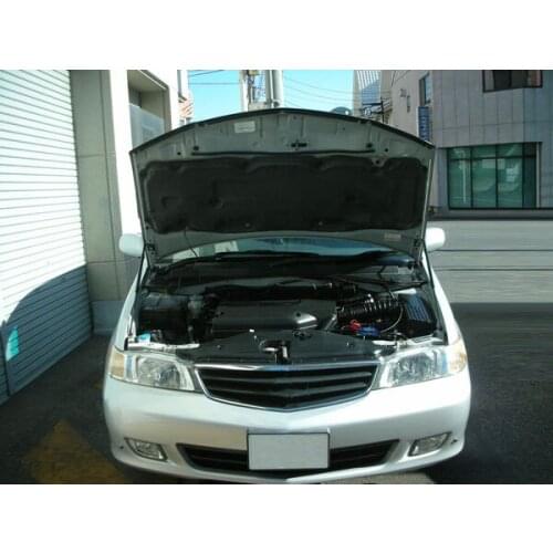 For 1999-2005 Honda Lagreat RL1 Mini Van Front Hood Bonnet Gas Struts Lift Support Shock Damper Carbon Fiber