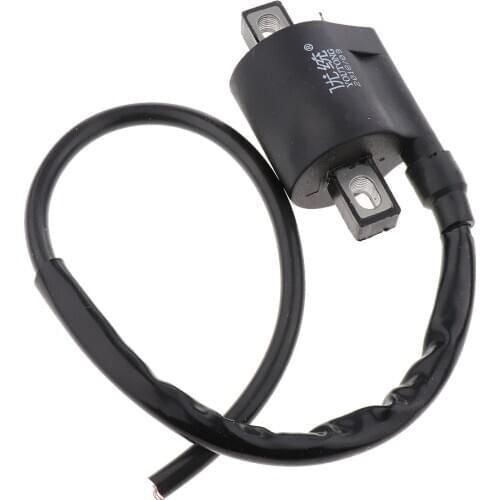 Heavy Duty Plastic Ignition Coil Module for Honda CG125 ZJ125 Motorcross Scooter Dirt Bike