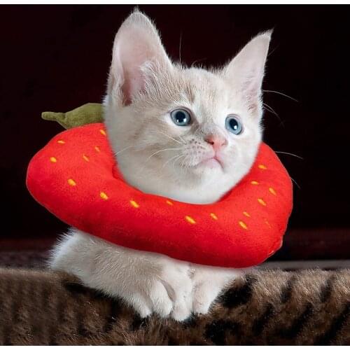 Cat Collar Cute Fruit Dog Neck Cone Recovery Collar For Anti-Bite Lick Surgery Wound Healing Protective Pet Collar