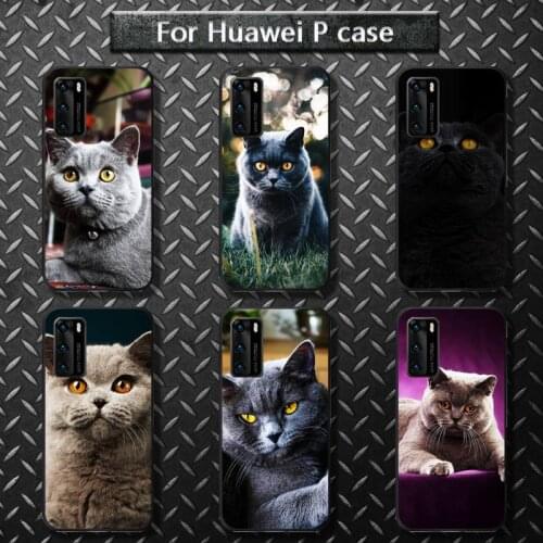 British shorthair cat Phone Case for huawei P40 pro lite P8 P9 P10 P20 P30 psmart 2019 2017 2018