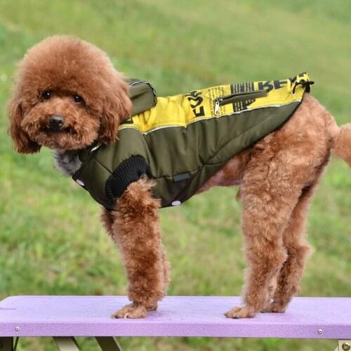 Winter Warm Thicken Coat Jacket Dog Clothes for Puppy Pet Fur Hoodie for Small Medium Dogs Chihuahua zipper Decoration Clothing