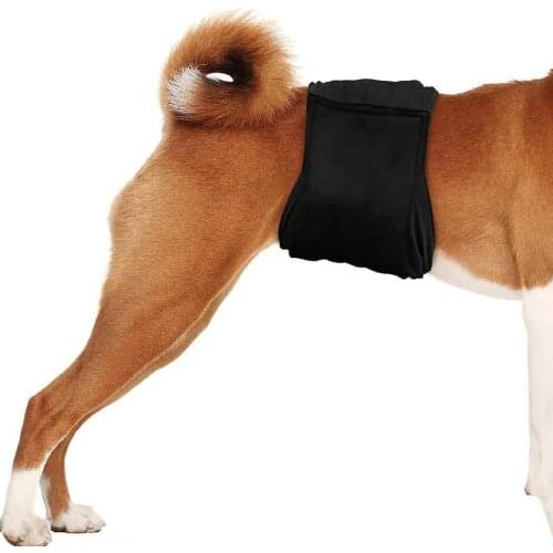 Male Dog Shorts Puppy Physiological Pants Diaper Pet Underwear For Small Meidium Boy Dogs