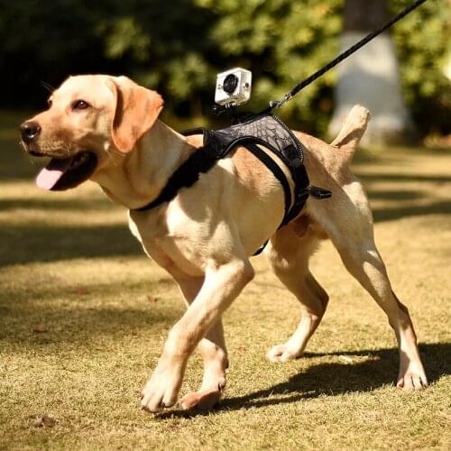 Action Camera Dog Harness Pet Sports Video FPS Dog Chest Strap Shoulder Gopro Stabilizer for Medium Large Dog Pet Supplies